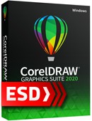CorelDRAW Graphics Suite 2020 PL ESD (1 stanowisko)